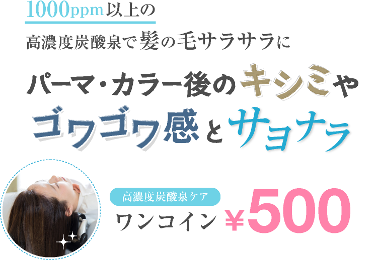 1000ppm以上の高濃度炭酸泉で髪の毛サラサラに。パーマカラー後のキシミ・ゴワゴワ感とサヨナラ　ワンコイン￥500